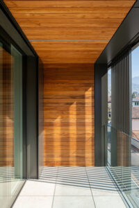 Renzetti_Partners-Residenza_Ramogna_Muralto-05